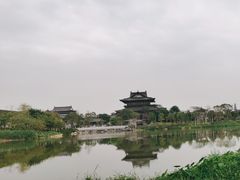 -海珠湖公园
