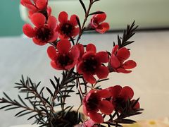 -南堂馆·新川菜(春熙路店)