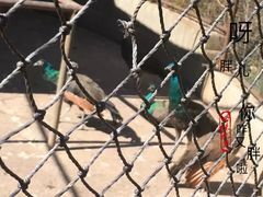 -云南民族大观园