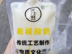 -德禄酸奶(莫家街店)