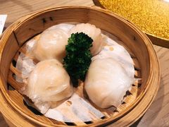 -虾饺妹·酒家(金碧店)