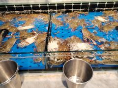 -川骄海鲜自助(河东店)