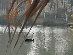 -瑶湖郊野森林公园