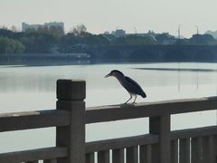 -东湖景区
