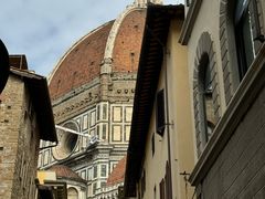 -圣母百花大教堂穹顶