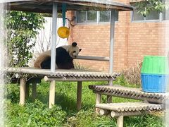 -苏州太湖国家湿地公园