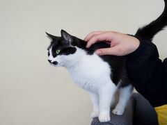 -路易时光(蕴川路店)