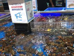 -盒马鲜生(红莲店)