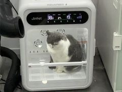 -爱洗澡的猫(望京店)