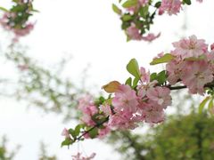 -白鹭湾湿地公园