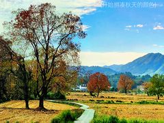 -塔川景区