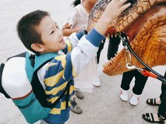 -世界恐龙谷景区