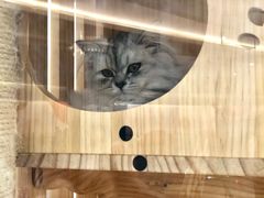 -Bco豆库(星耀天地店)