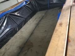 -小象钓虾·营地烧烤(洛溪店)