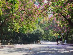 -水濂山森林公园