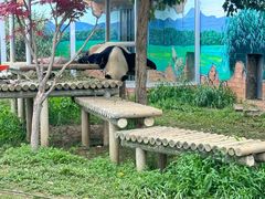 -苏州太湖国家湿地公园