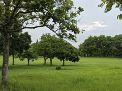 -福建鲤鱼洲酒店