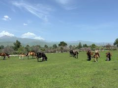 -新疆那拉提国家旅游度假区