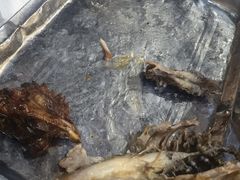 -张记焖窑·十五年专注焖烤(雍和宫店)