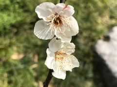 -西湖天地