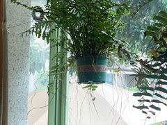 -绿房子方寸咖啡(星海名城店)