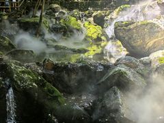 -牛背梁国家森林公园