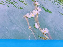 -丽江泸沽湖景区