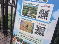 -黄海国家森林公园