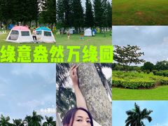 -万绿园