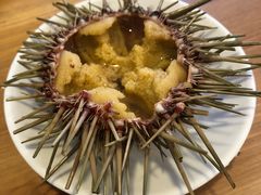 -海胆小馆(东北水饺·春柳店)