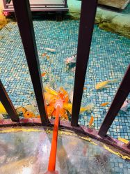 -酷嗒动物文化乐园(cutezoo西溪乐天城店)