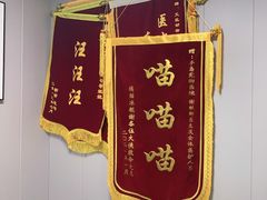 -半岛宠物医院24小时(科华中路店)