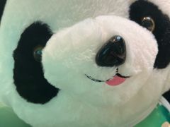 -眉州东坡·熊猫主题餐厅(枫蓝店)