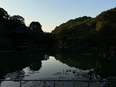 -云溪植物园