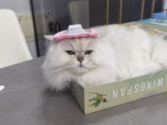 -猎人桌游吧(合生汇店)