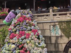 -苏州上方山国家森林公园