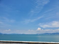 -广东惠东海龟国家级自然保护区