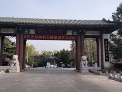 -百脉泉景区