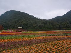 -广州市石门国家森林公园