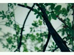 -绝味鸭脖(炫地店)