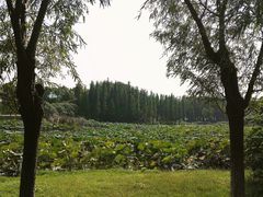 -艾溪湖湿地公园