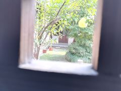 -江南第一家