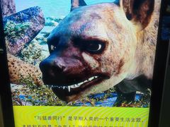 -周口店北京人遗址公园