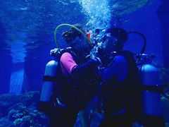 -华夏文旅海洋公园