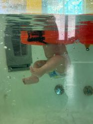 -鱼乐贝贝婴幼儿亲子水育(幸福街店)