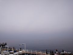 -蟹谢蒸鲜自助餐厅