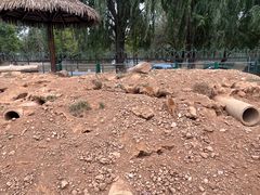 -秦皇岛野生动物园
