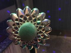 -向日葵KTV(温江店)