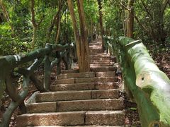 -梧桐山风景名胜区