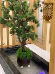 点击看大图 -芳朵美容养生SPA